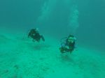 Hawaii Scuba divng 03