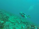 Hawaii Scuba divng 46