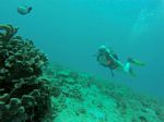 Hawaii Scuba divng 49