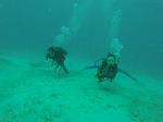 Hawaii Scuba divng 04