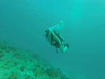 Hawaii Scuba divng 51