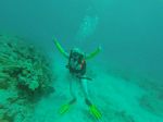 Hawaii Scuba divng 53