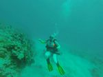 Hawaii Scuba divng 54