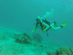 Hawaii Scuba divng 56