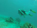 Hawaii Scuba divng 57