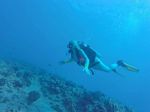 Hawaii Scuba divng 58