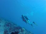 Hawaii Scuba divng 59