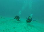 Hawaii Scuba divng 05