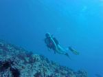 Hawaii Scuba divng 60