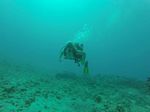 Hawaii Scuba divng 68