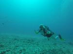 Hawaii Scuba divng 72