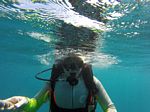 Hawaii Scuba divng 73