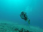 Hawaii Scuba divng 75