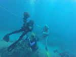 Hawaii Scuba divng 79