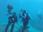 Hawaii Scuba divng 80