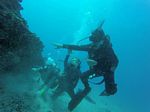 Hawaii Scuba divng 94