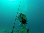 Hawaii Scuba divng 96