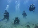 Hawaii Scuba divng 14