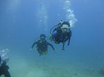 Hawaii Scuba divng 15