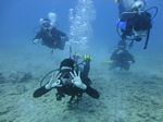 Hawaii Scuba divng 16