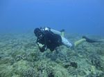 Hawaii Scuba divng 17