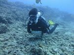 Hawaii Scuba divng 19