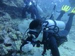 Hawaii Scuba divng 20