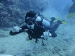 Hawaii Scuba divng 21