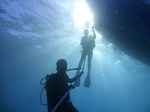 Hawaii Scuba divng 26