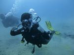 Hawaii Scuba divng 28