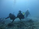 Hawaii Scuba divng 29