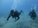 Hawaii Scuba divng 31