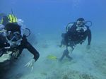 Hawaii Scuba divng 32