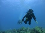 Hawaii Scuba divng 34