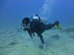 Hawaii Scuba divng 35