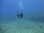 Hawaii Scuba divng 36