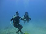 Hawaii Scuba divng 37