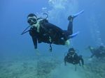 Hawaii Scuba divng 39