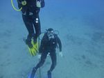 Hawaii Scuba divng 40