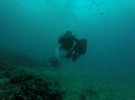 Hawaii Scuba divng 11