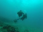 Hawaii Scuba divng 12