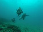 Hawaii Scuba divng 13