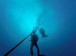 Hawaii Scuba divng 02