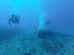 Hawaii Scuba divng 10