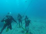 Hawaii Scuba divng 12