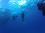 Hawaii Scuba divng 14