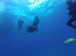 Hawaii Scuba divng 15