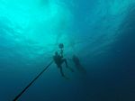 Hawaii Scuba divng 17