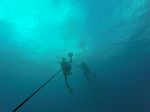 Hawaii Scuba divng 18