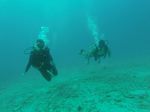 Hawaii Scuba divng 21